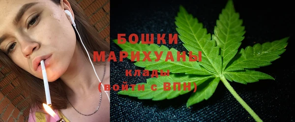 твердый Туринск