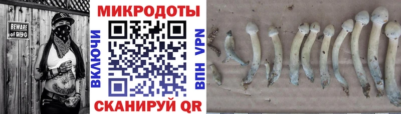 Галлюциногенные грибы MAGIC MUSHROOMS  где купить   Сызрань 